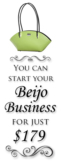 Start your Beijo Business